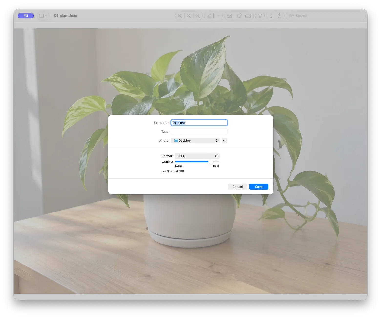 Preview's Export dialog with JPEG chosen in the Format menu and the Quality slider visible
